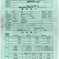 出售2016年造5T双体交通船辅助船
