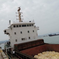5000吨散货船出售