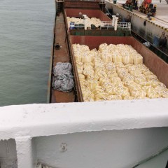 出售2005年造3300吨近海一般干货船