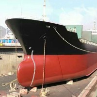 出售2009年台州造双底单壳17390吨近海散货船