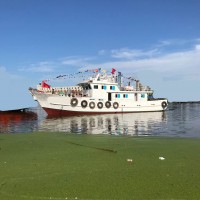 出售2018年造20米10人沿海钢质交通船
