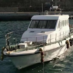 出售2009年造17米12人沿海玻璃钢游艇图1