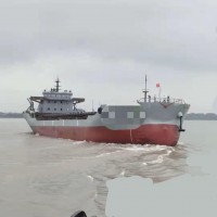 出售2019年造8500吨近海双底双壳散货船 - 图片 2