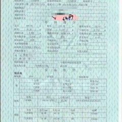 出售2017年造21936吨沿海自吸自卸沙船 皮带船图1