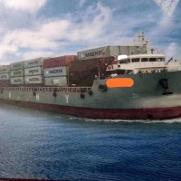 出售5000吨长江支线集装箱船