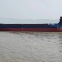 出售2019年造10818吨沿海集装箱船