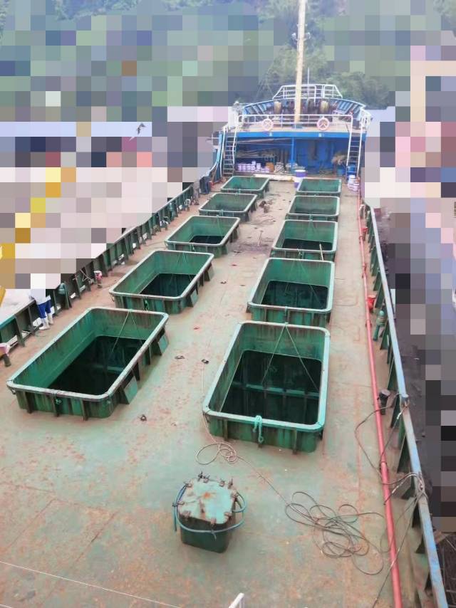 出售1000吨大马力日本活鱼船