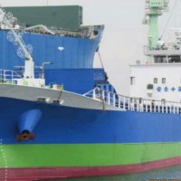 售：1995年方便旗沿海1000吨日本干货船