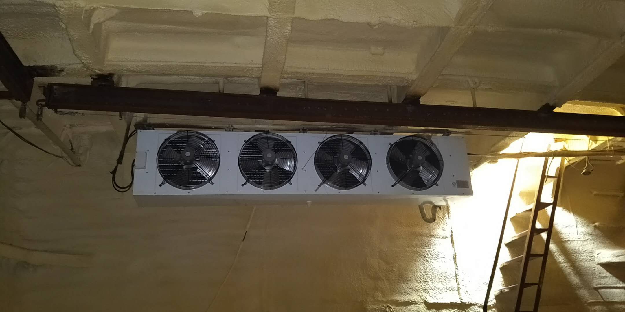 出售:1000吨冻品船