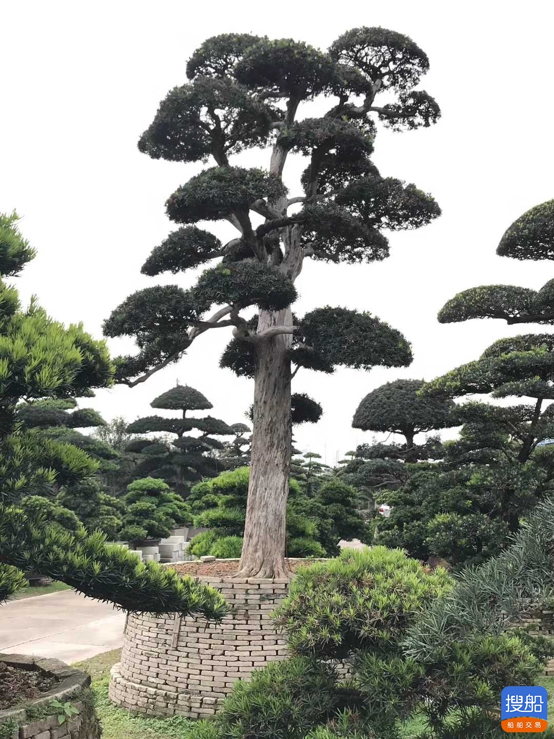 甲板货船