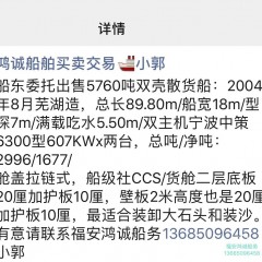 出售5760吨双壳散货船