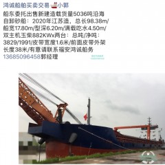 出售新建造载货量5036吨自卸砂船图1