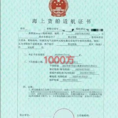 出售:沿海开体驳图5