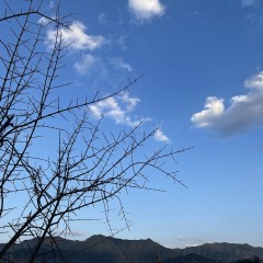 图片6
