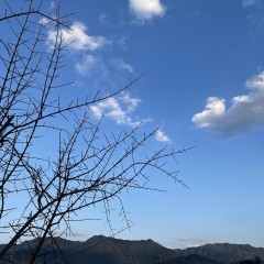 图片7