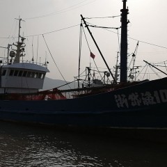 舟山大型拖虾船图1