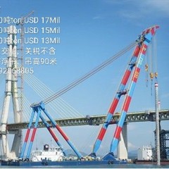 出售2200吨爬杆吊图1