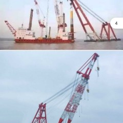 租打桩船图1