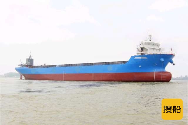 出售2018年造10000吨816箱位沿海集装箱船