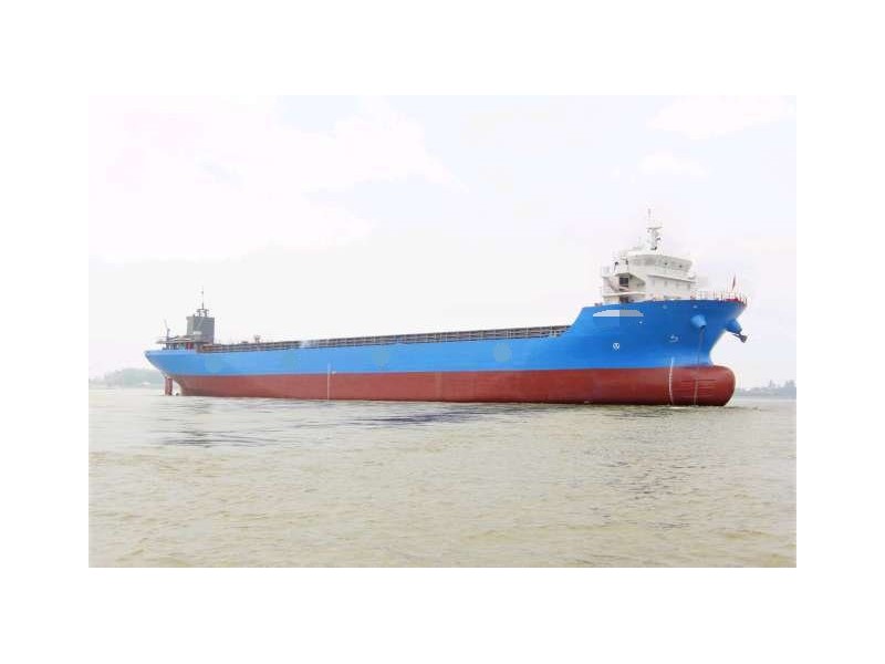 出售2018年造10000吨816箱位沿海集装箱船