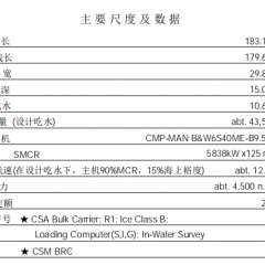 出售43500TCCS散货船图3