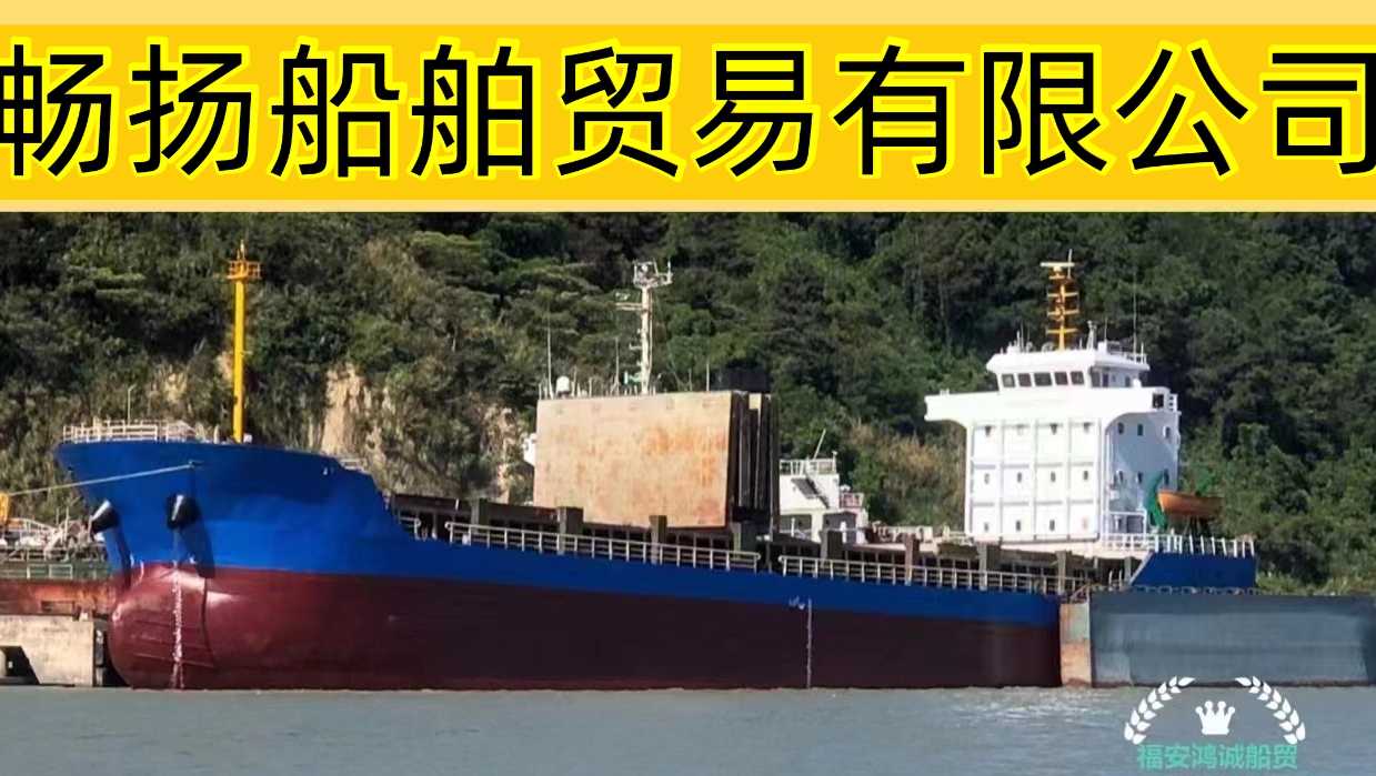 出售5100吨集装箱船/多用途