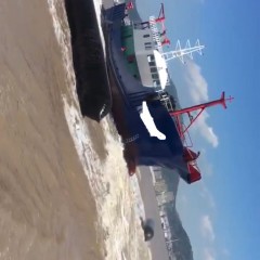 单拖近海渔船图1