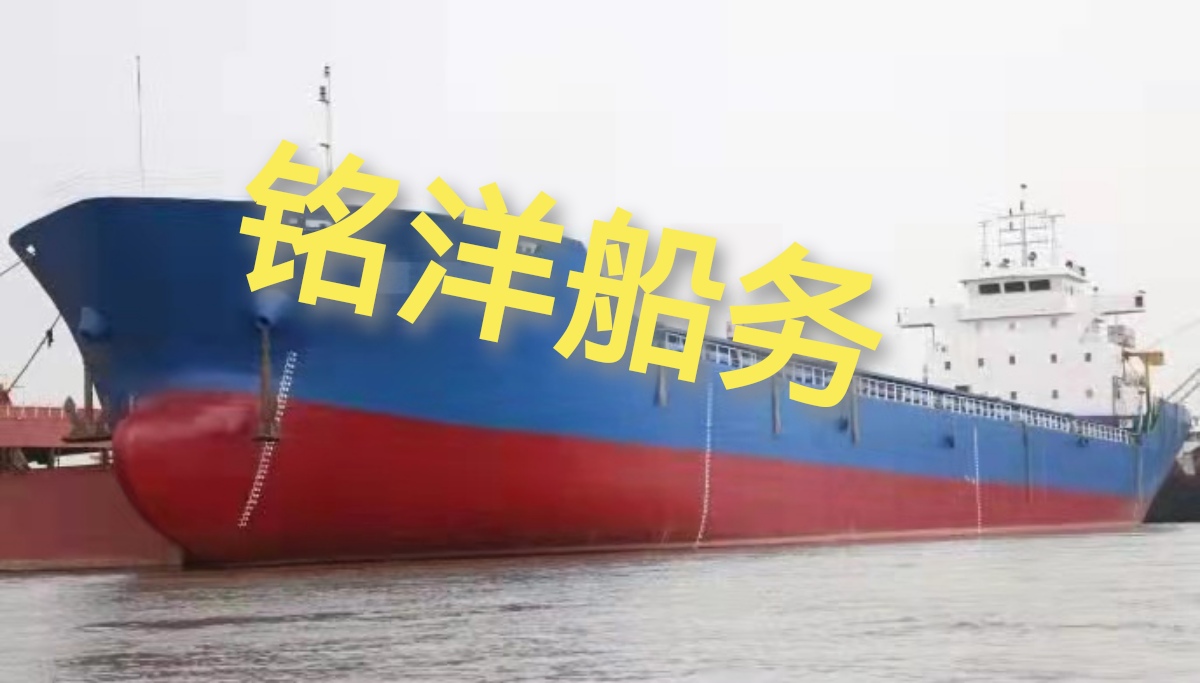 出售：沿海11050吨敞口集装箱船