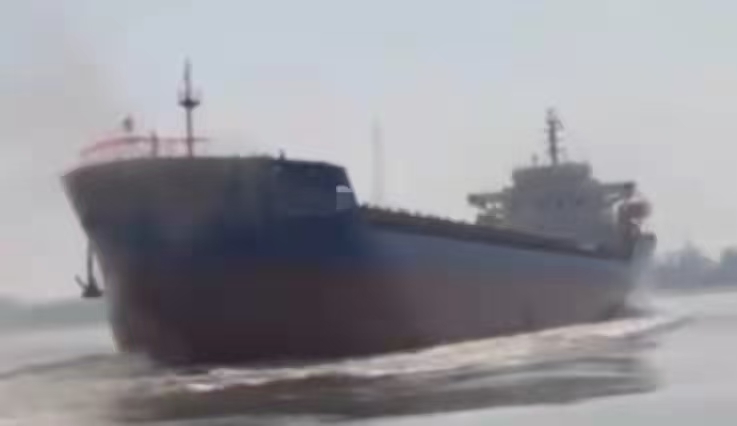新船出售： 11000吨双底双壳散货船