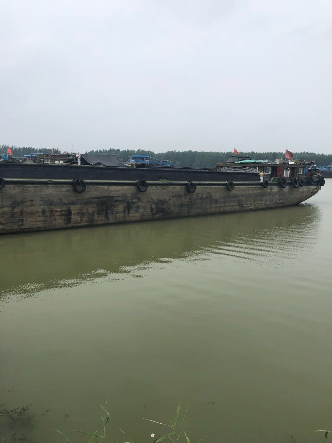 大量回收废旧船舶