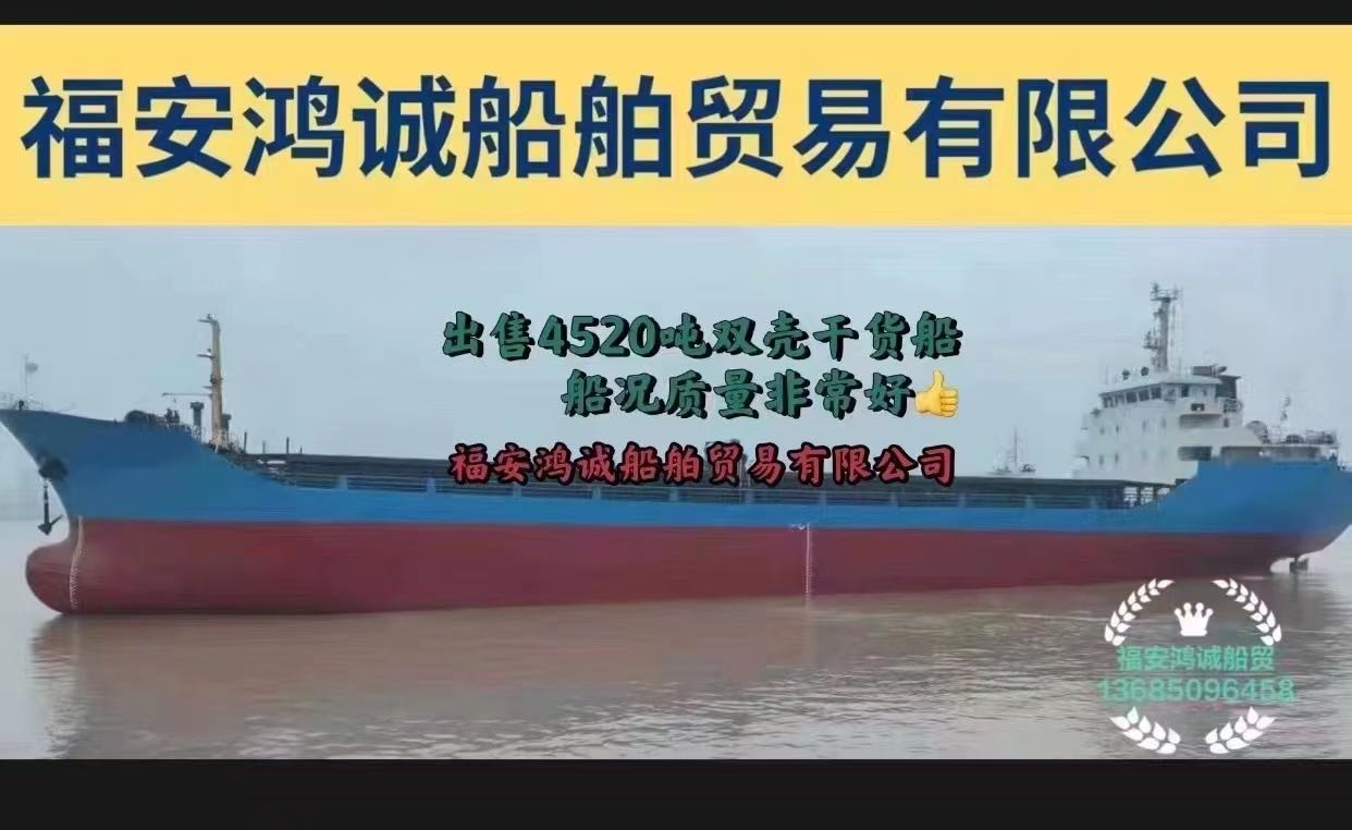 出售4520吨双壳干货船