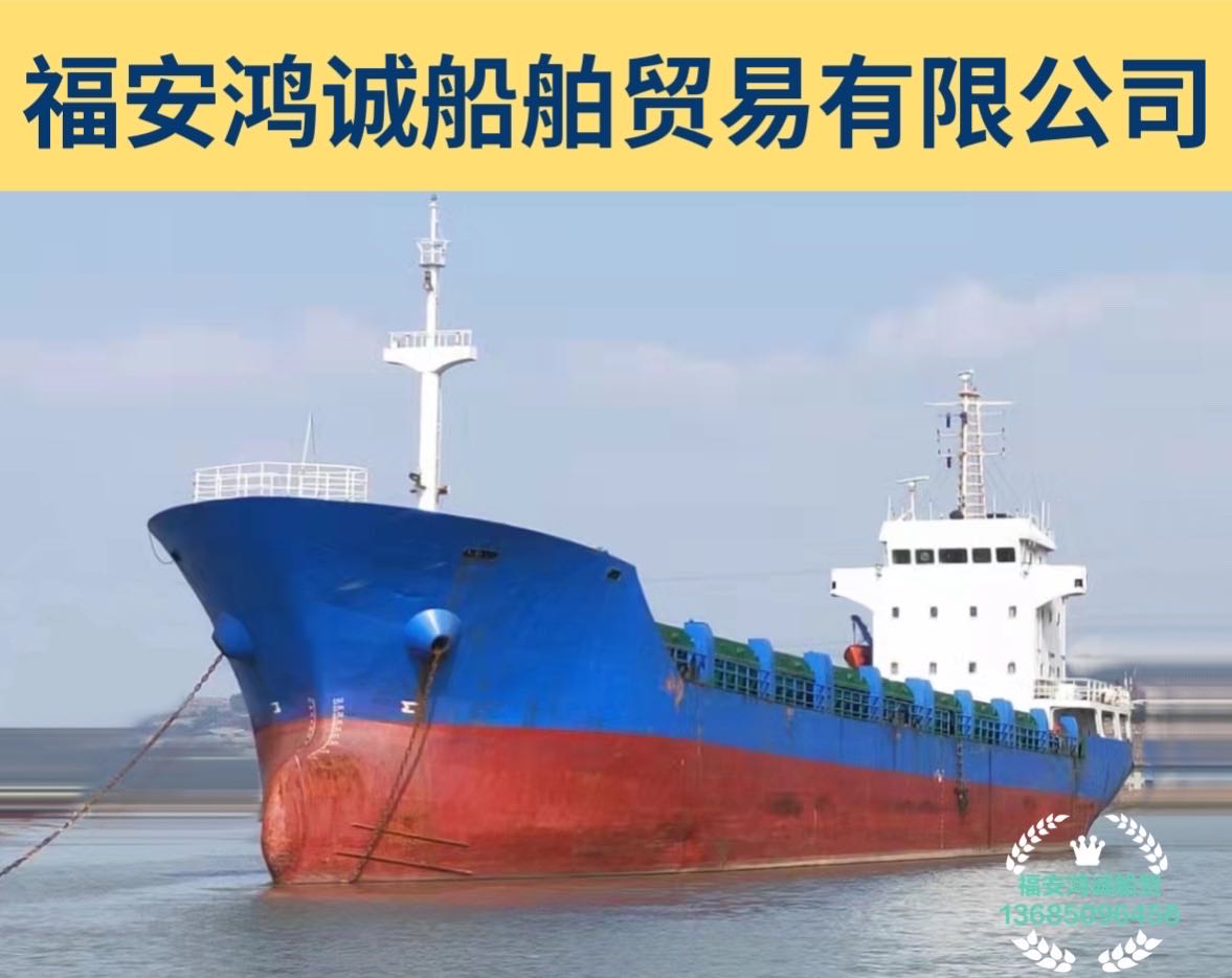 出售3878吨双壳多用途船