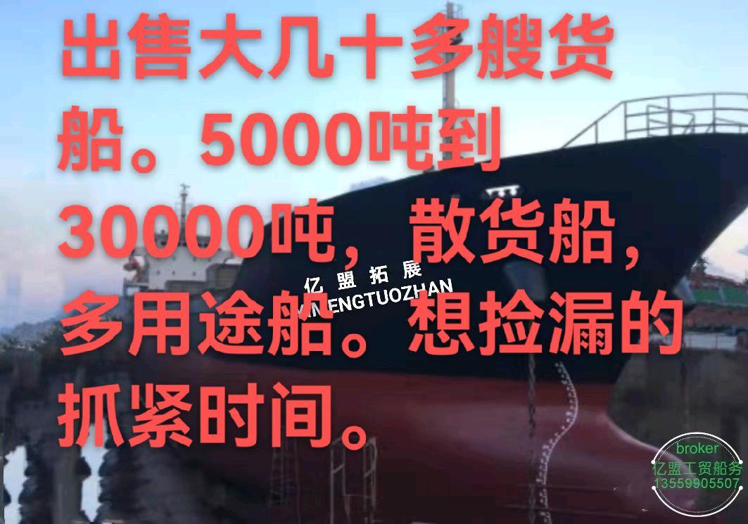 出售8510吨散货船