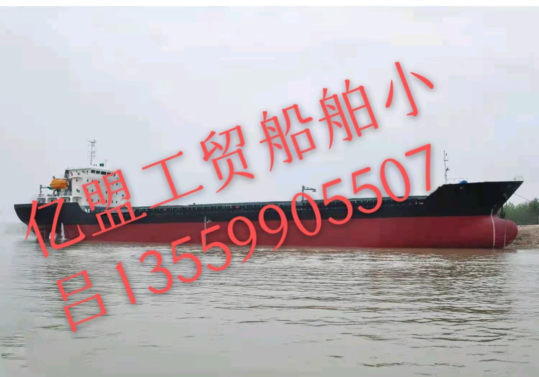 出售11000吨双壳结构散货船