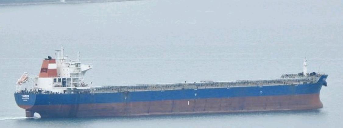 出售2008/2011年越南造53500吨散货船 两条姊妹船