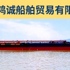出售2021年造15350吨自吸自卸砂船图1