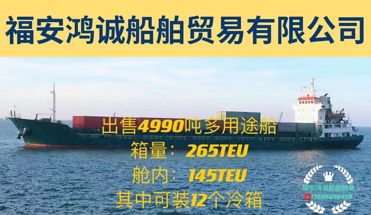 出售4990吨双壳多用途船