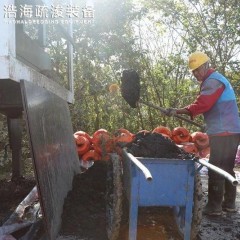 HID淤泥干化处理设备-压滤机设备图2