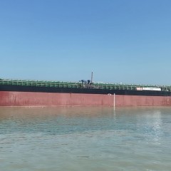 出售2019年造5000吨近海散货船