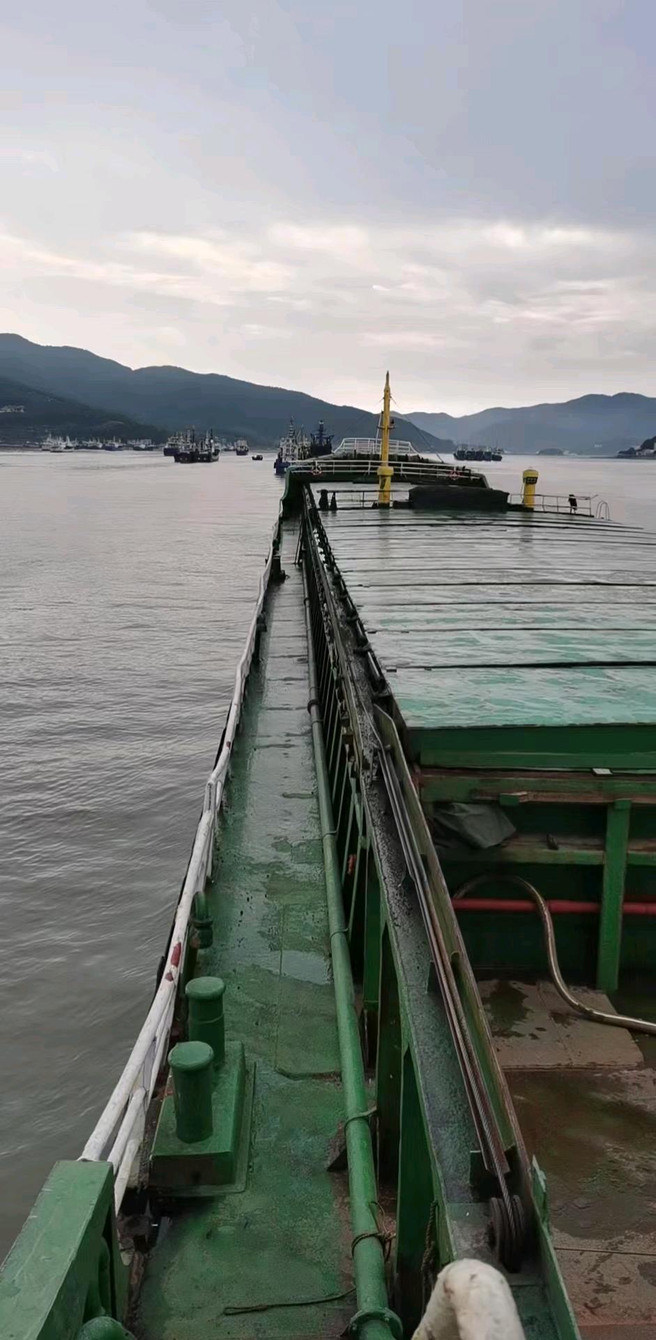 出    售： 5000吨双壳干货船