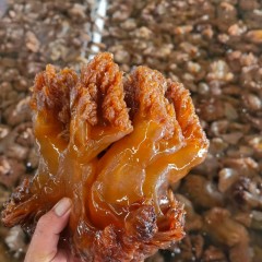 海蜇头海蜇皮图3