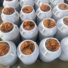 海蜇头海蜇皮图4