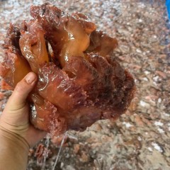 海蜇头海蜇皮图8