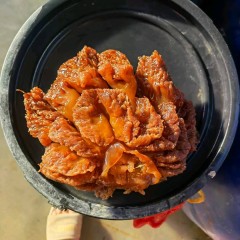 海蜇头海蜇皮图9
