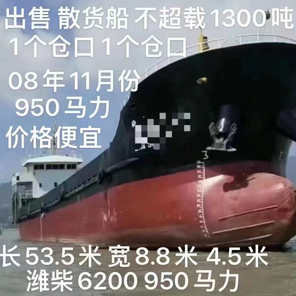 出售编号770 08年1300吨散货船