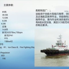 出租/出售2021年CCS全回转拖轮图2