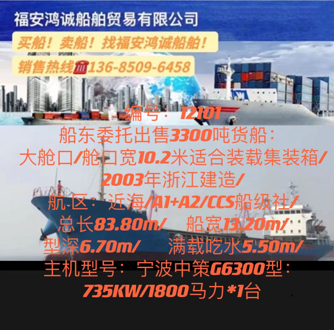 出售（多艘）3300吨集装箱多用途船