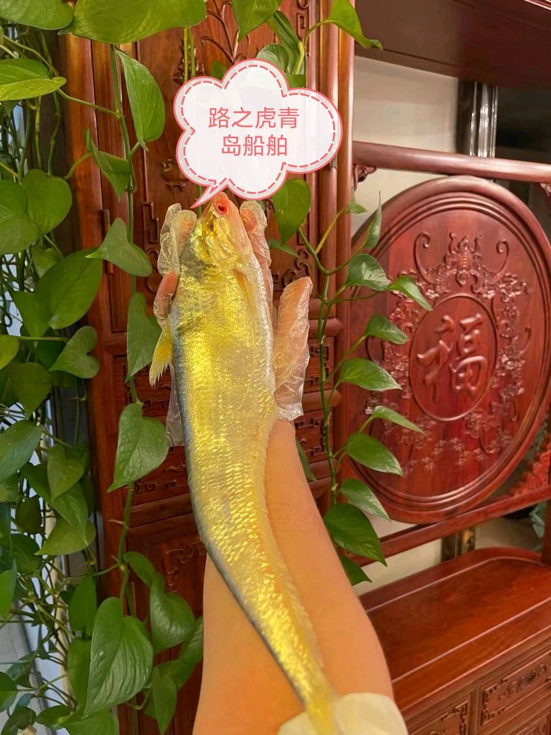 前驾驶甲板驳 - 图片 7