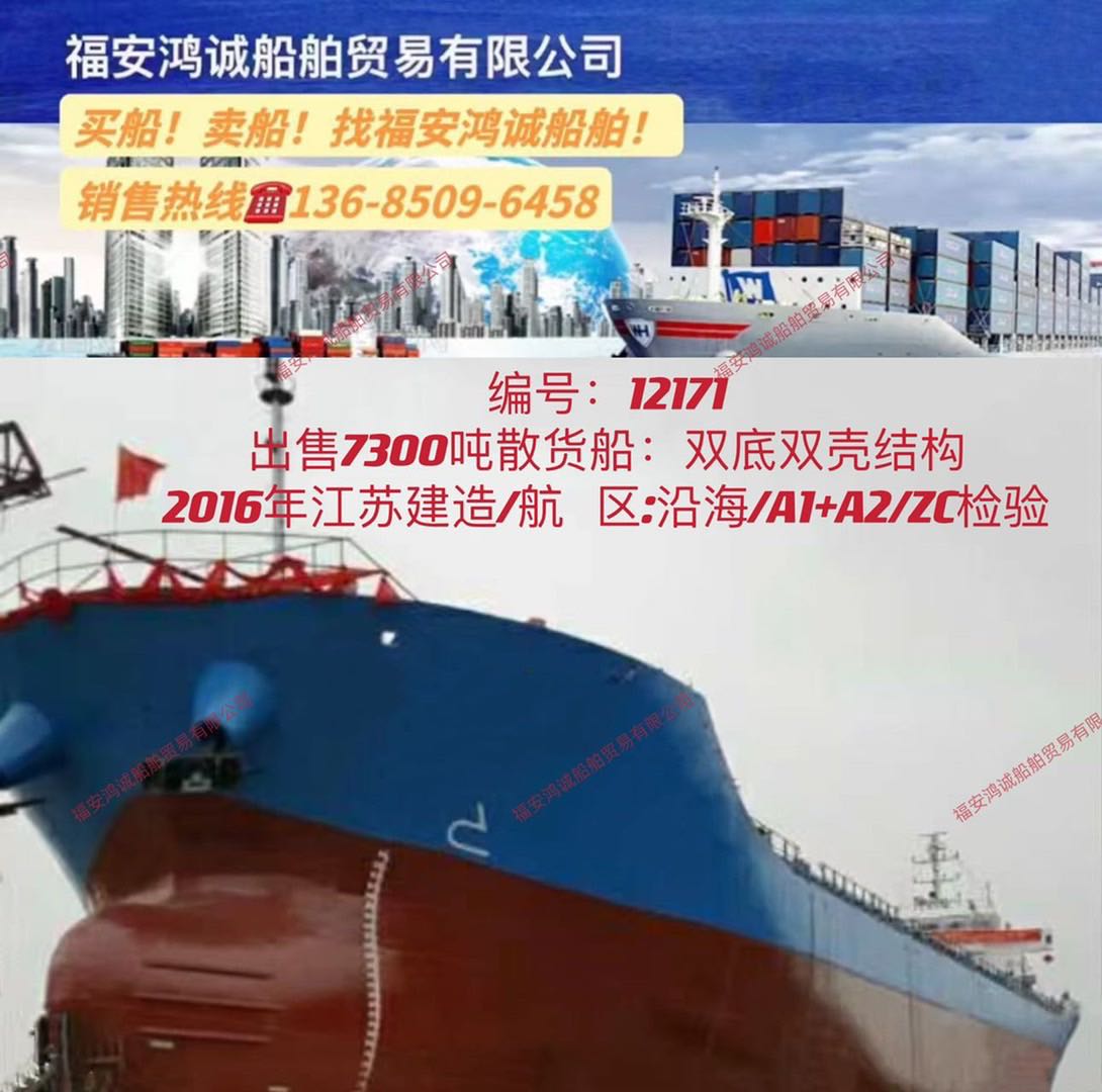 出售2016年7300吨双壳散货船 - 图片 2