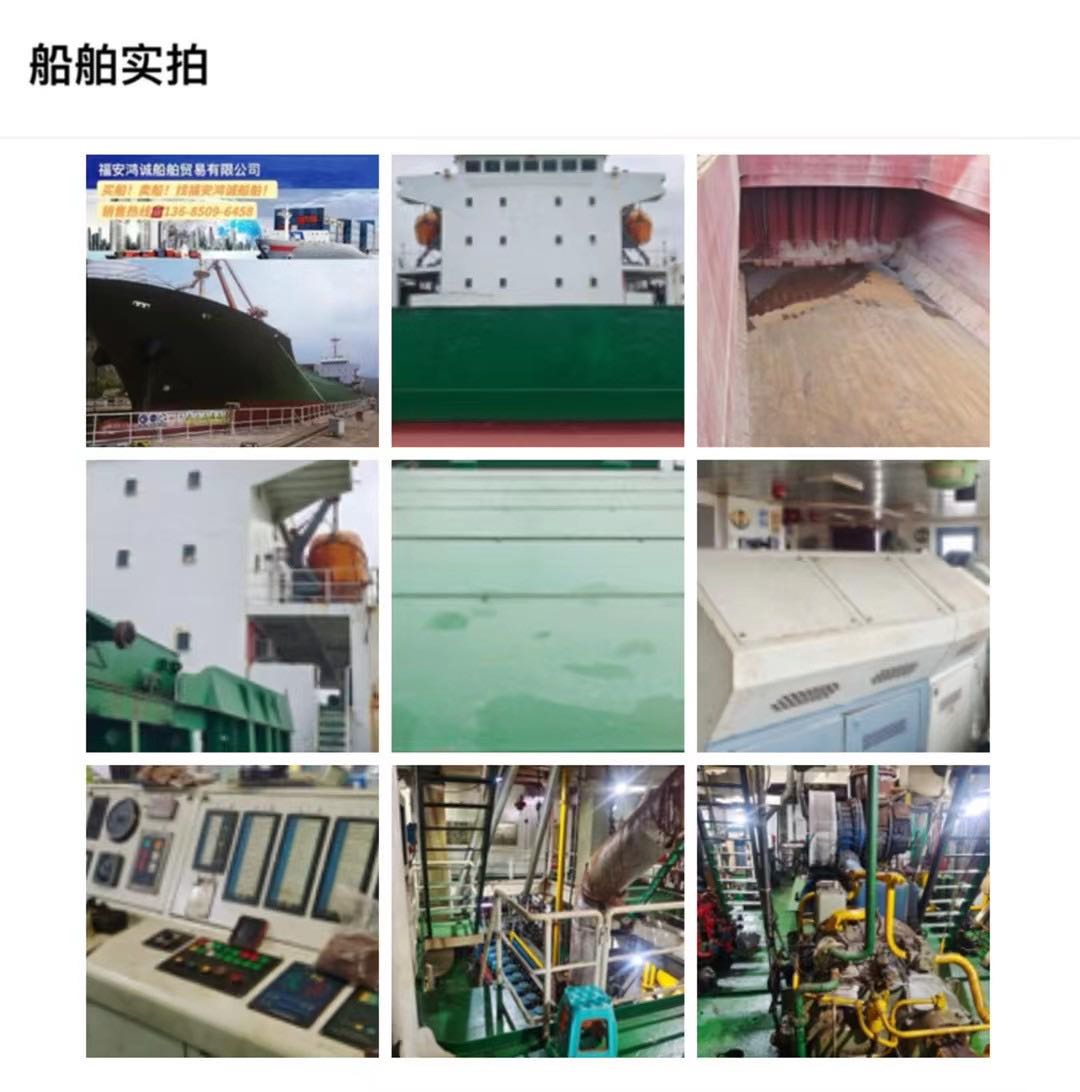 出售2008年8200吨散货船 - 图片 2